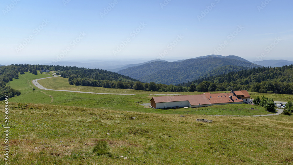 Paysage estival dans le massif des Vosges