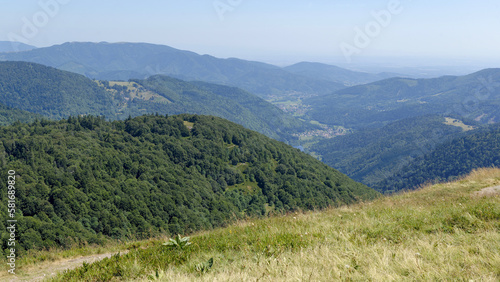 Paysage estival dans le massif des Vosges