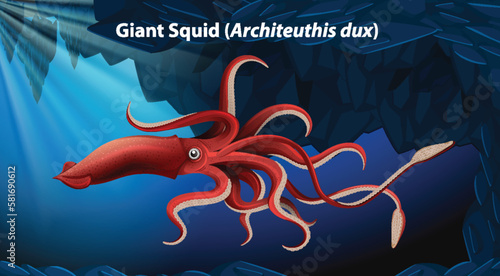 Giant Squid (Architeuthis dux) Vector photo