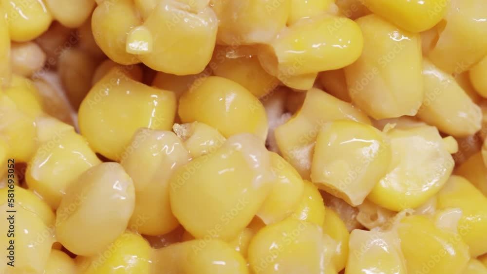 Spoiled canned corn with white mold and slime Spoiled canned corn with white mold and slime