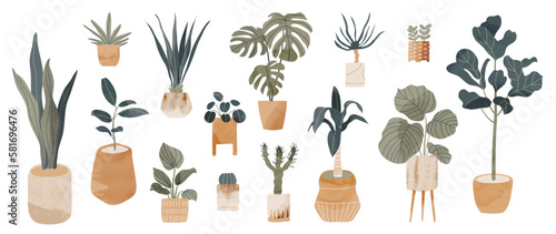 set of plants