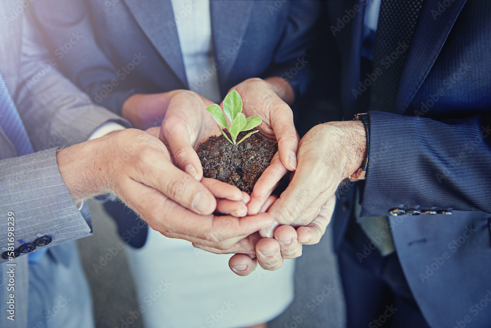 They value their business. Closeup shot of a young plant in soil being held by a group of businesspeople.