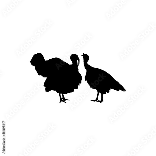 Pair of Turkey Silhouette for Art Illustration, Pictogram or Graphic Design Element. The Turkey is a large bird in the genus Meleagris. Vector Illustration