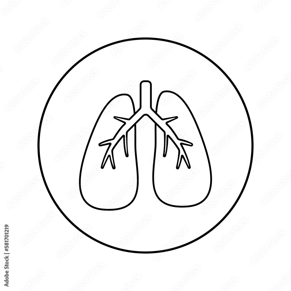 Fototapeta premium Lungs linear icon. Medicine, pulmonology