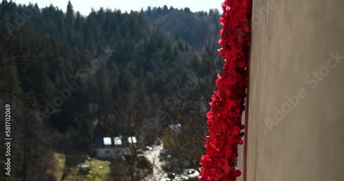 Red Roses hanging from Bran Castle (Castelul Bran), Romania, Europe photo