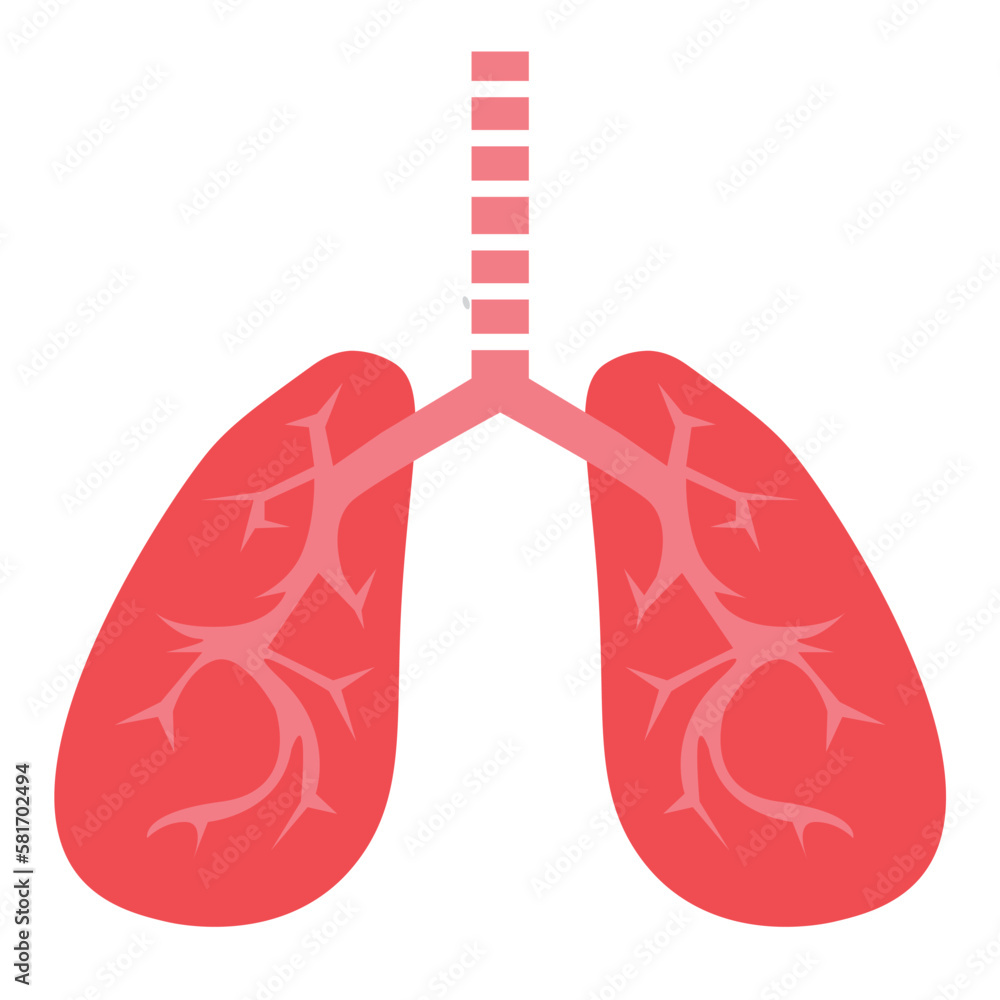 Lungs Lungs