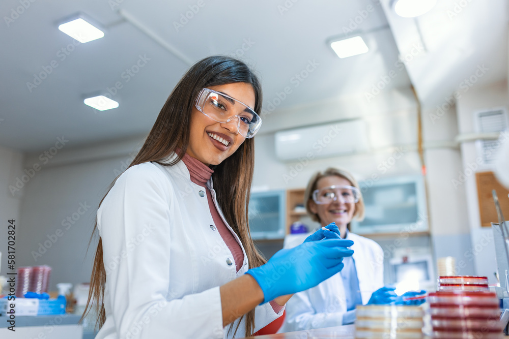 microbiologist hand cultivating a petri dish whit inoculation loops