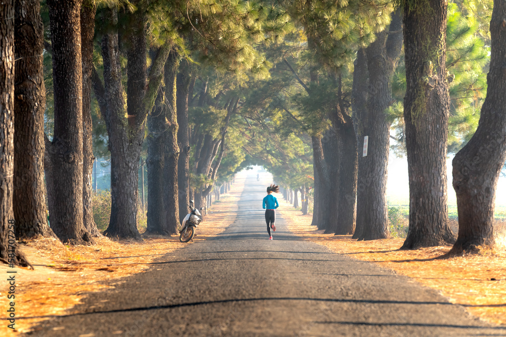 A girl practicing sports jogging under a row of old pine trees in Pleiku town, Gia Lai province, Vietnam