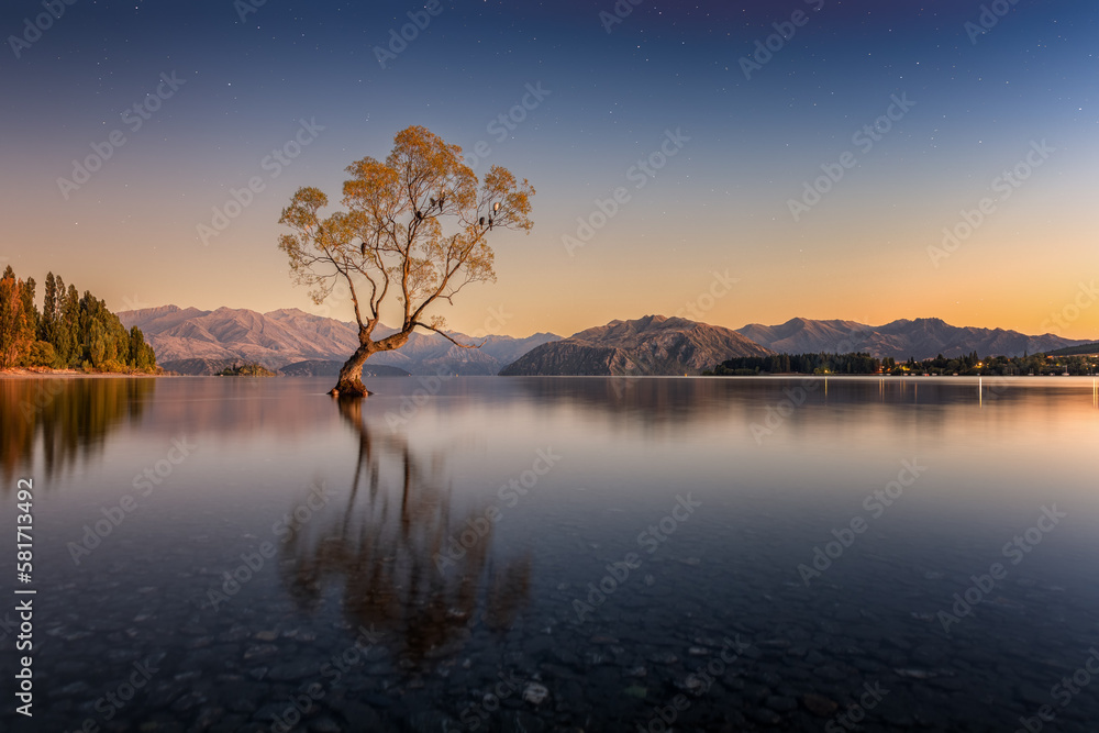 Famous Wanaka Tree in the water with reflection during sunrise. Moon is lighting up tree and surrounding while there are still stars in the sky. Location is in Wanaka near Queenstown in New Zealand.