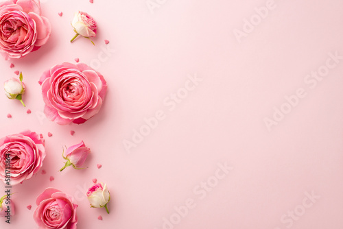 Fototapeta Naklejka Na Ścianę i Meble -  Women's Day concept. Top view photo of pink peony rose buds and sprinkles on isolated pastel pink background with copyspace