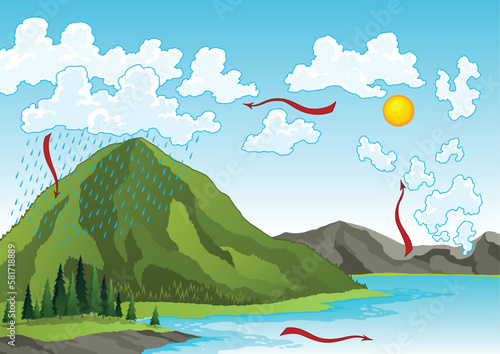 Water cycle diagram. Earth hydrologic process. Environmental circulation scheme with rain precipitation, cloud condensation, evaporation and runoff collection. Cycle water in nature environment