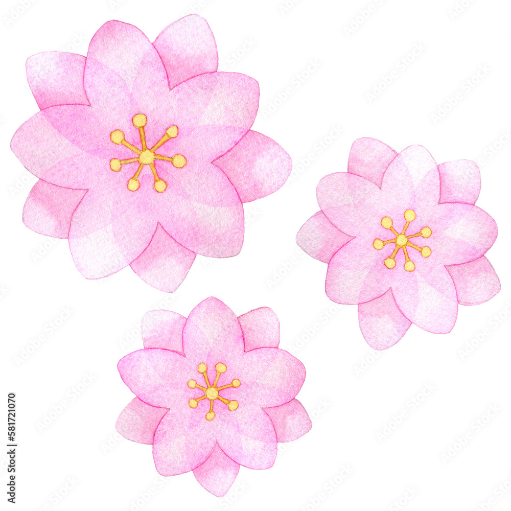 八重咲きの桃の花のイラスト 八重咲きの桃の花のイラスト