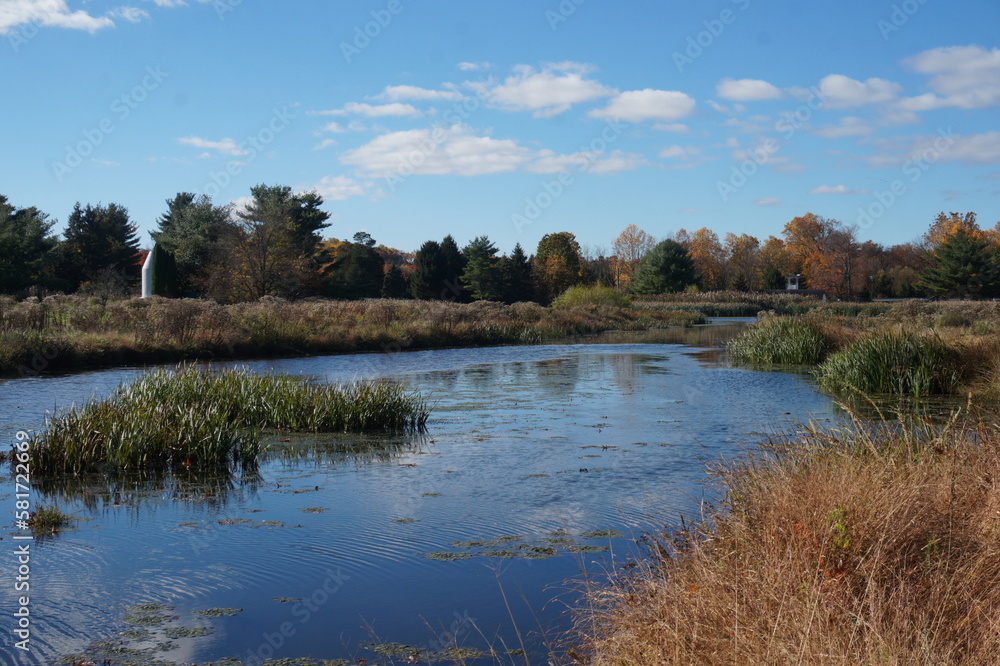 Pond Water and Wetlands Surrounded by Fall Colored Trees and Blue Sky
