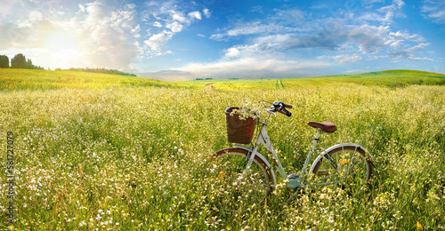 Fototapeta Naklejka Na Ścianę i Meble -  Beautiful spring summer natural landscape with a bicycle on a flowering meadow against a blue sky with clouds on a bright sunny day.
