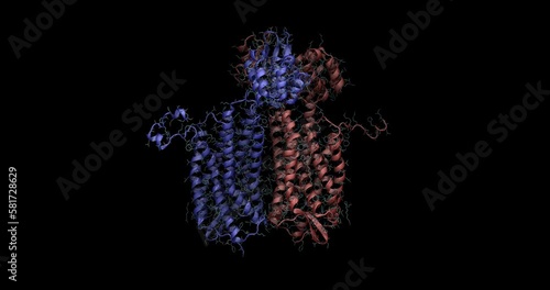 CXCR4 chemokine receptor, metastasis anticancer and anti-HIV drug target, 3D molecule spinning, 4K photo