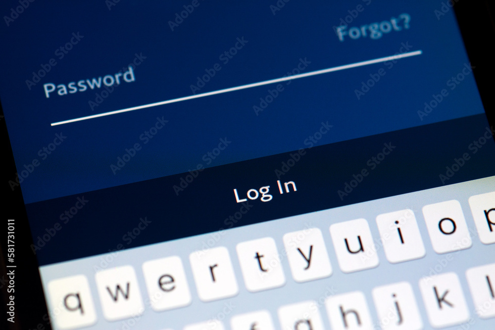 Password entry on screen Password entry on screen