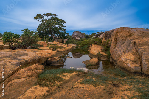 Elephant rock in yala national park sri lanka.