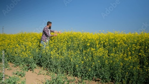 Happy and successful farmer is examining his rapeseed field. Rapeseed plantation in bloom. Slow motion video.