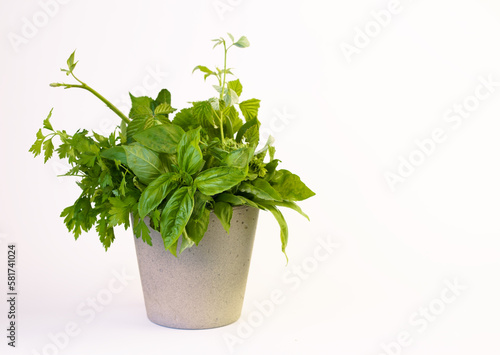 Fresh spicy aromatic herbs in a transparent glass beaker with water. Basil, sage, thyme, tarragon on a white background. Useful garden herbs close-up.