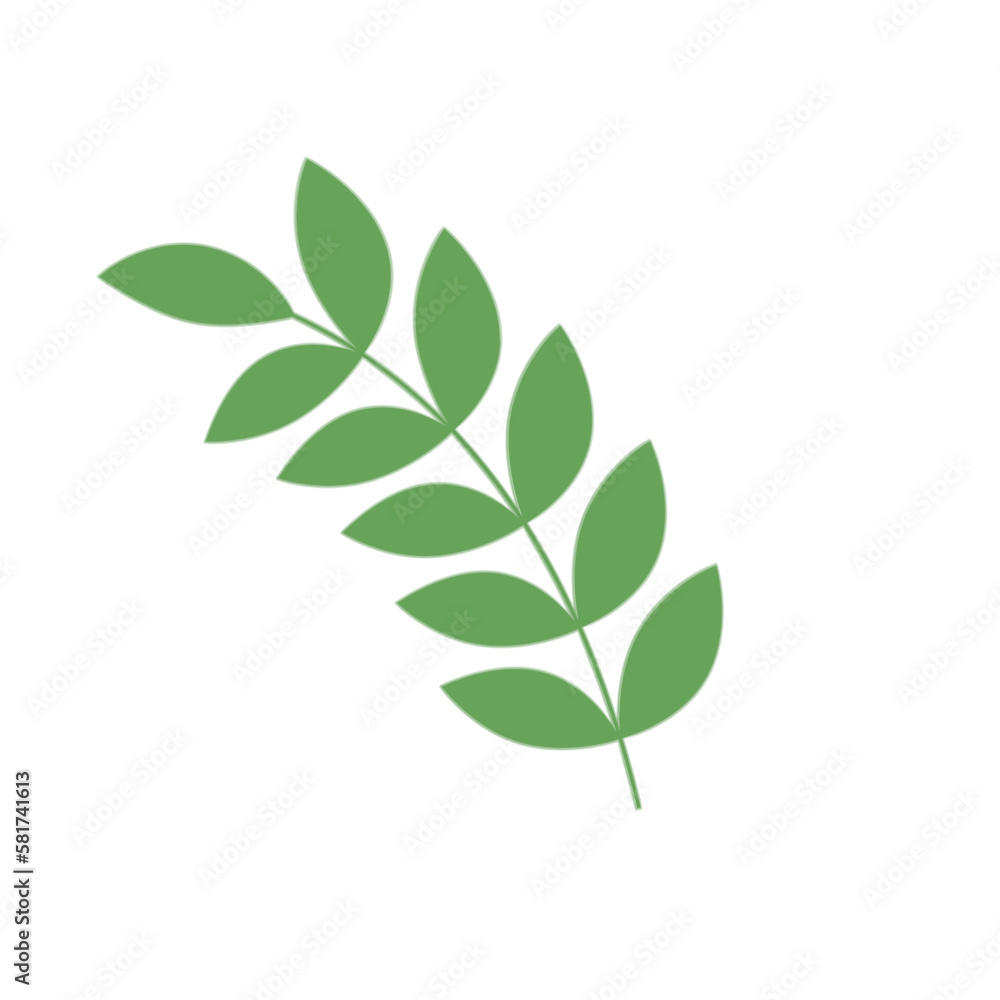Green Leaf Illustration
Green Leaf Illustration