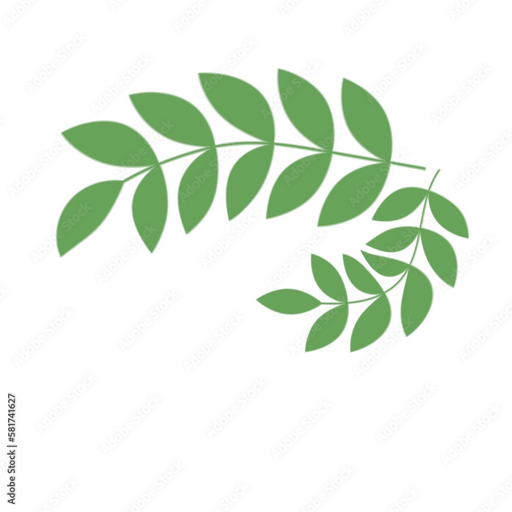 Green Leaf Illustration
Green Leaf Illustration