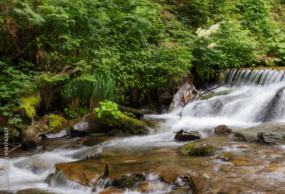creek in the woods. nature wallpaper with cascades. warm summer morning creek in the woods. nature wallpaper with cascades. warm summer morning