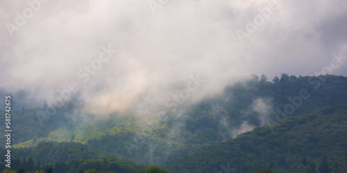 view of green mountain forested hills in fog. dramatic clouds above the distant ridge