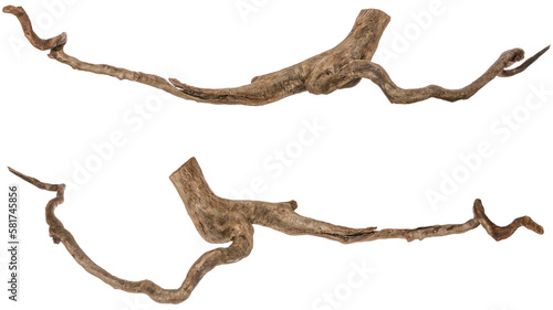 collection of a filigree piece of a root / trunk river wood, driftwood, natural wood, plant root, sera scaper root isolated on transparent background png image compositing footage alpha channel