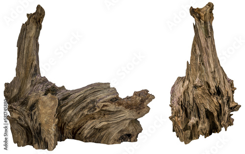 collection of a piece of a root / trunk river wood, driftwood, natural wood, plant root, mangrove wood isolated on transparent background png image compositing footage alpha channel