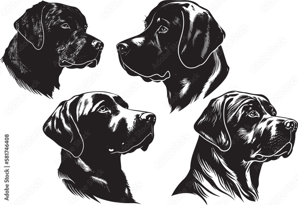black and white dogs - obrazy, fototapety, plakaty 