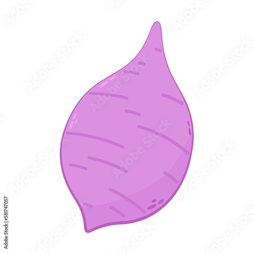 Taro isolated on white background. Vector illustration.