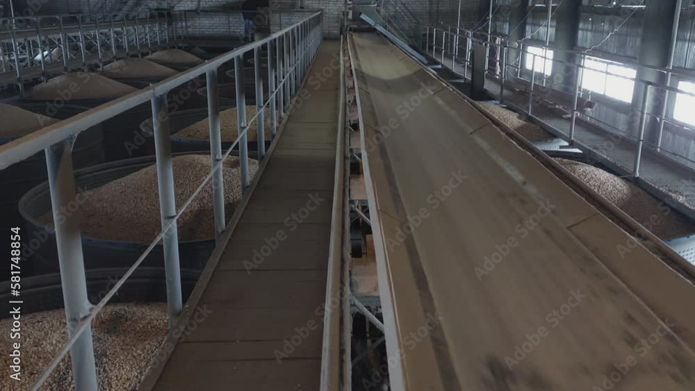 The Grain Transportation Conveyor Belt is in Operation. The Grain Transportation Conveyor Belt is in Operation.