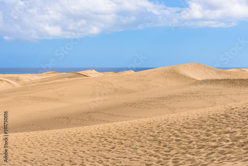 View of desert sand dunes against a moody cloudy blue sky. Maspalomas Dunes in Playa del Ingles, Maspalomas, Gran Canaria, Spain.