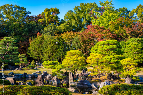 Fototapeta Naklejka Na Ścianę i Meble -  秋の京都・二条城で見た、紅葉で色づく庭園と快晴の青空