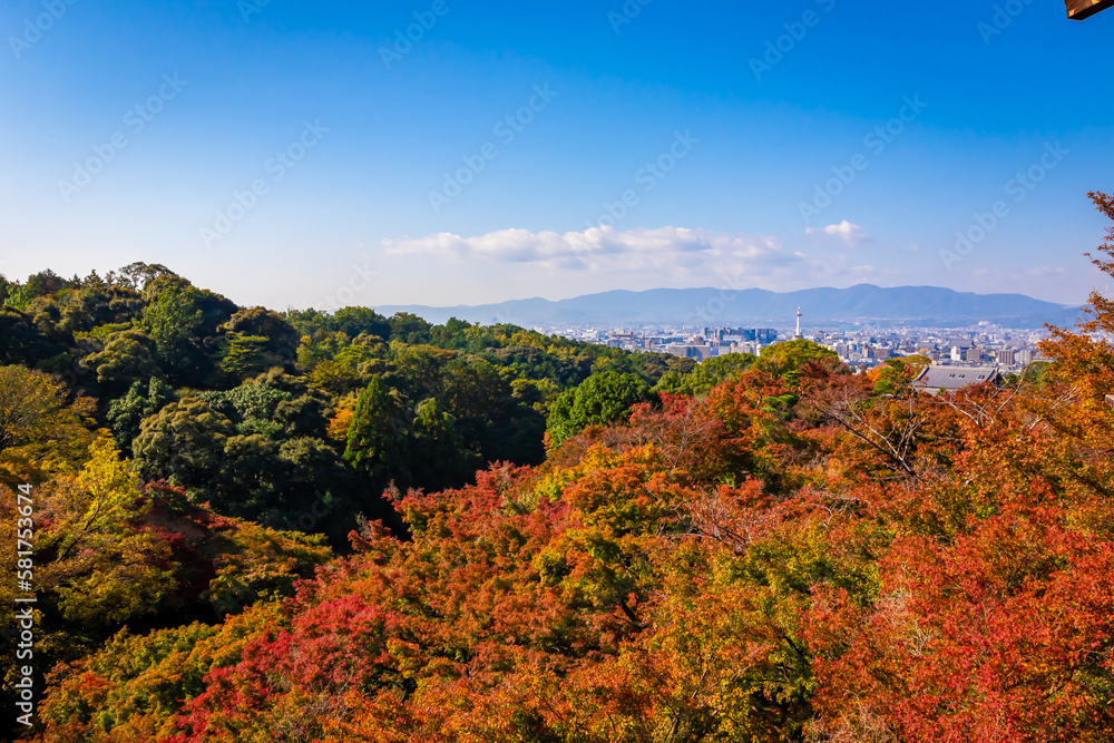 秋の京都・清水寺で見た、カラフルな紅葉と快晴の青空