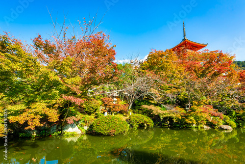 秋の京都・清水寺で見た、紅葉の背後にある三重塔と快晴の青空
