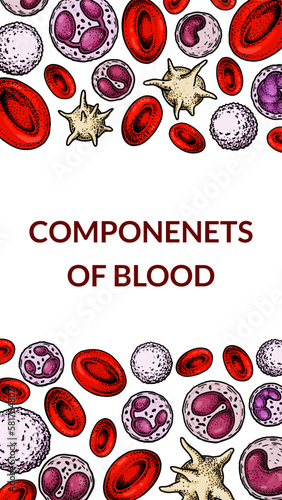 Blood cells background. Design for blood test, anemia, donation, hemophilia, laboratory scientific research concepts. Vector illustration in sketch style