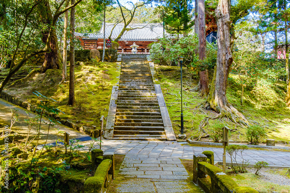 Fototapeta premium 【奈良県】奈良市 霊山寺 (2023/03/10撮影)
