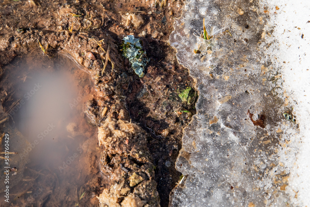 Melting snow and puddles. Sunny weather and spring Melting snow and puddles. Sunny weather and spring