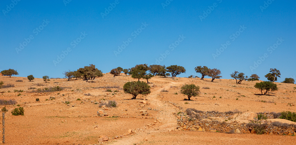 Panorama Moroccan landscape view,  Morocco