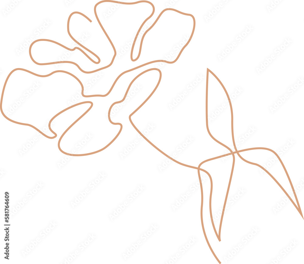 Spring flowers line art Contemporary floral design Spring flowers line art Contemporary floral design