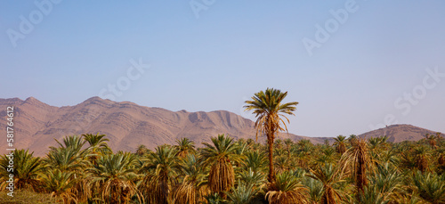 Moroccan panorama landscape- mountain and plam tree