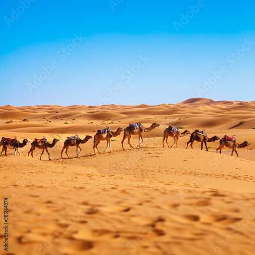 camel caravan in the sahara desert Morocco