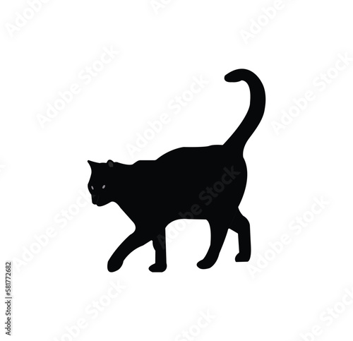 this is a nice black cat