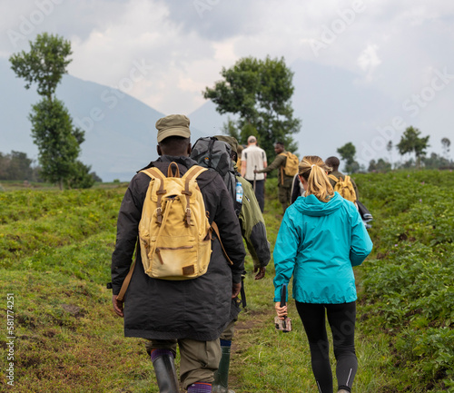 Tourists trekking through Volcanoes National Park in search of habituated gorillas