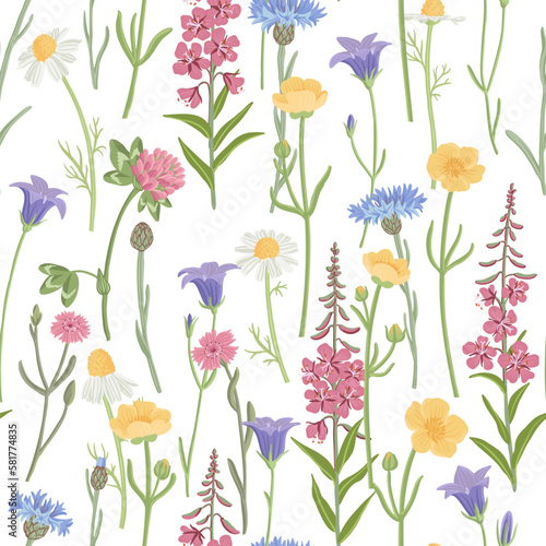 Wallpaper Mural seamless pattern with field flowers, vector drawing wild plants at white background, floral ornament, hand drawn botanical illustration Torontodigital.ca