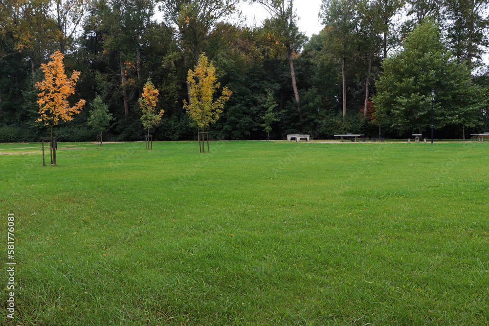 Beautiful view of public city park with green grass Beautiful view of public city park with green grass