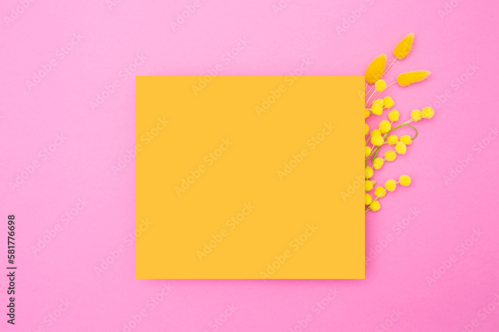 Empty yellow paper with an arrangement of mimosa flowers and spring dried flowers on a pink background. Mockup of cards. .Happy easter. Top view Empty yellow paper with an arrangement of mimosa flowers and spring dried flowers on a pink background. Mockup of cards. .Happy easter. Top view