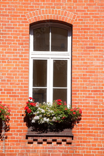 Fenster mit Blumenkästen an einer rötlichen Hausmauer aus Backstein, Wunstorf, Niedersachsen, Deutschland