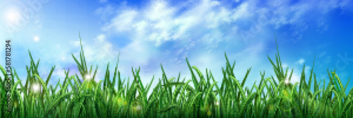Realistic green grass under blue sky. Vector illustration of fresh herbs growing in field with morning dew drops sparkling in sun and peaceful skyline with white clouds. Beautiful nature background